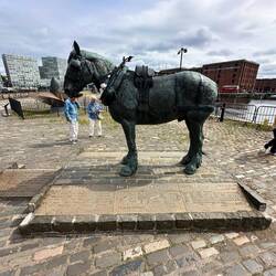 Staty som ska hedra alla de hästar som bidrog till stadens växande handel.