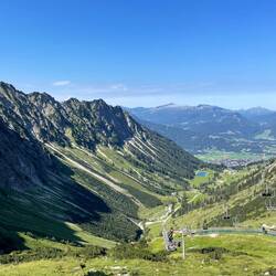 Abkühlungspause im Schatten