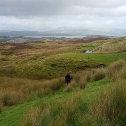 Bärbel sucht den Weg