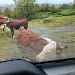 Da ist der oder die Übeltäterin.