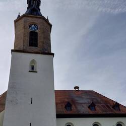 Viele Störche, aber nur ein Nest?