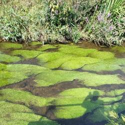 Am wunderbaren Flüsschen Kössein!