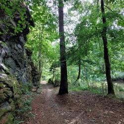 ....auf schmalen Pfaden!