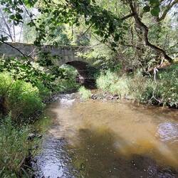 Alte Steinbogenbrücke über die Kössein, kurz vor der Mündung in die Röslau!