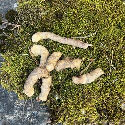 Keine 100 Meter von der Halbinsel entfernt liegt eine unbewohnte Insel.