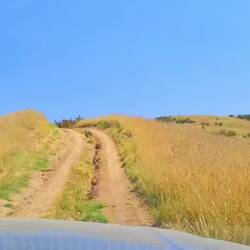 Hier heisst es genau zielen😉