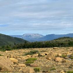 Gros Morne in the distance