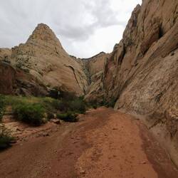Breite Wege im Grand Wash Canyon