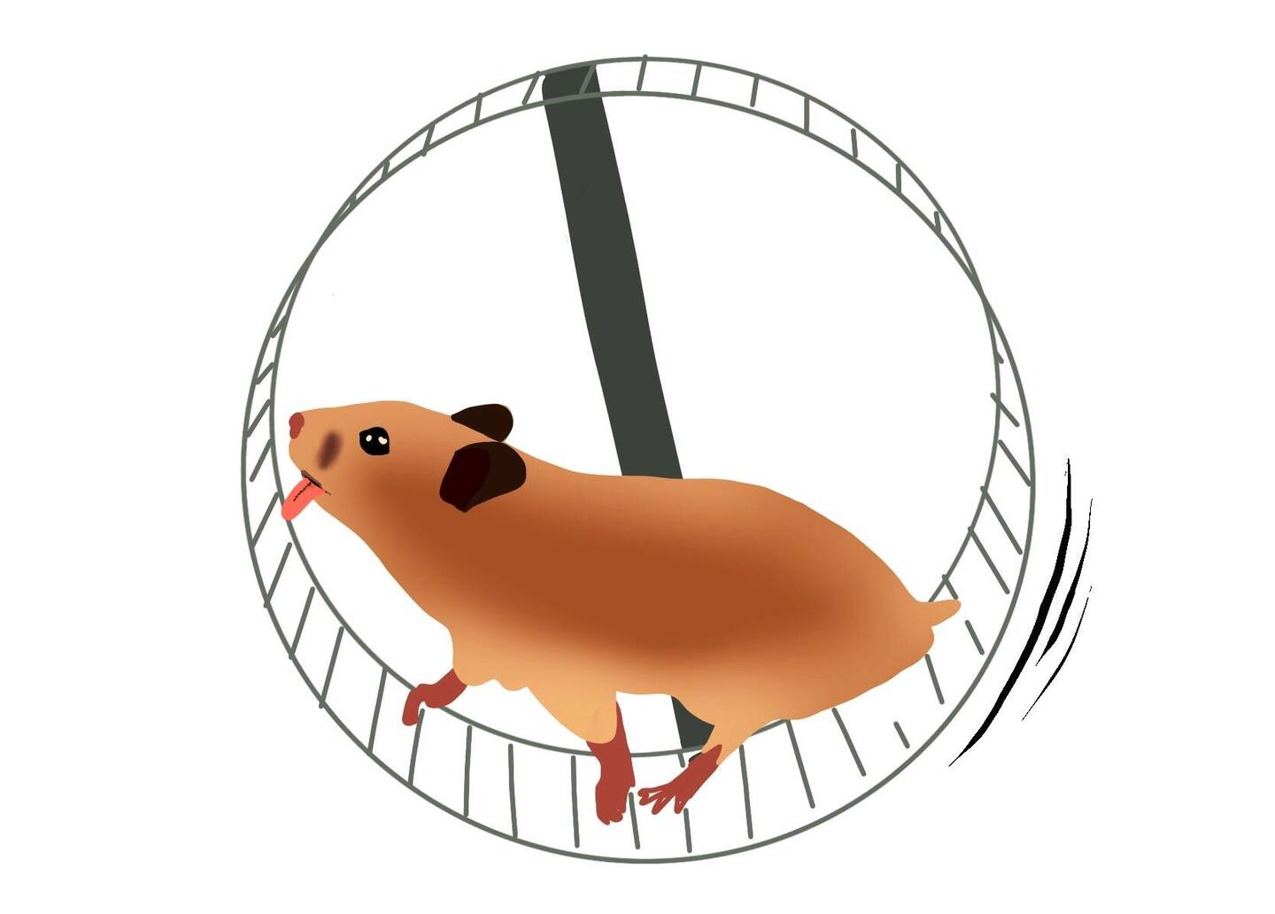 " Cours, petit hamster, cours ! Travaille, gagne, achète, travaille, gagne, achète… "
