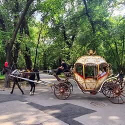 Carriages which play booming Kazakh beats