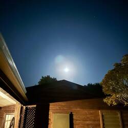 Moonlight