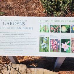 Ventura Botanic Garden