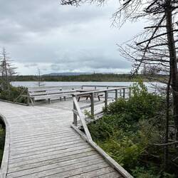 Great accessible boardwalks and lookout points along the trail