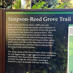 Redwood trees have bark that is several inches thick. They don't burn easily