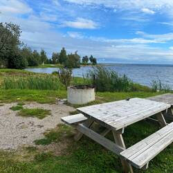 Am Mittagsspaziergang ☺️