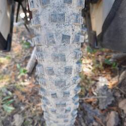 Der Hinterreifen nach gut 2000km (bald mit vorderem Reifen tauschen oder neu?)