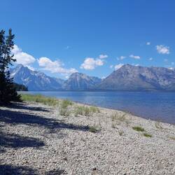 Jackson Lake mit den Tetons (N.P.) im Hintergrund