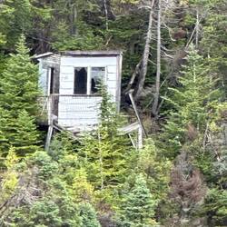 Billy's going to list this on AirBnB next year!