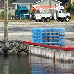 Modern-day lobster traps