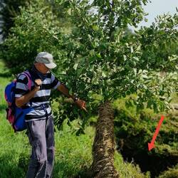 The water was that high! On the right side a tiny stream..... not visible!