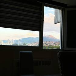 View from the living room window