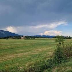 Gewitter