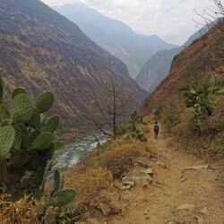 Und weiter geht's bis runter in den Canyon