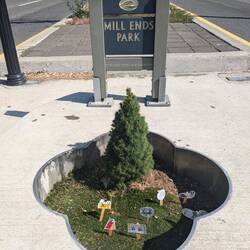 World's smallest park 😂