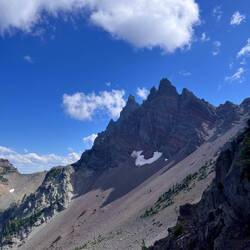 Three Fingered Jack