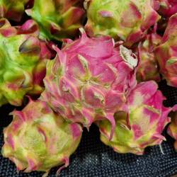 Ananas (naja fast, aber Bildunterschriften liest eh nur einer)