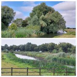 Views close to Hermitage Marina, Earith