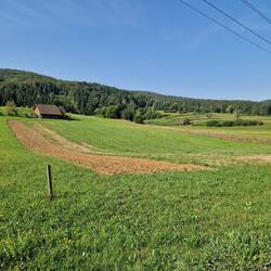 Häufig sieht man hier Abschnitte bestellter Felder auf sonst grünen Wiesen.