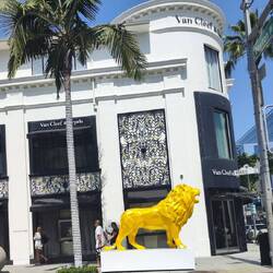 Rodeo Drive