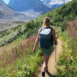 Weiter geht's zu den Gletschern