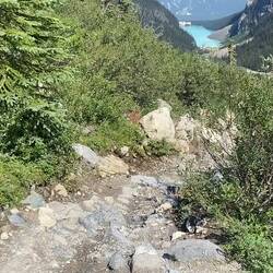 Rückweg zum Lake Louise