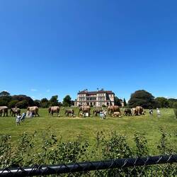The Breakers and The Great Elephant Migration display
