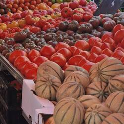 Tomatenpracht auf dem Markt