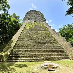 Schaut euch die Seiten an, eine ist fertig, die andere muss noch freigelegt werden
