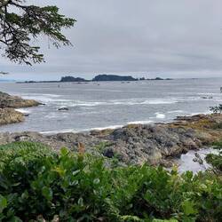 Ucluelet Lighthouse Trail