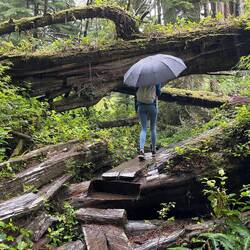 West Coast Trail mit viel Regen