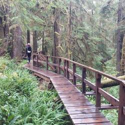 Rainforest Trail