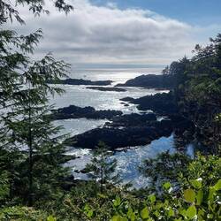 Ucluelet Lighthouse Trail