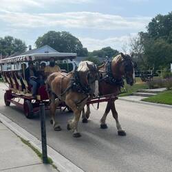 Two of the three modes of transportation on the island. Horse and Biking.  (The third is walking.)