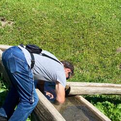 Kneippt Er oder meint Er ,ich bin auch ein Lama😂😂😂