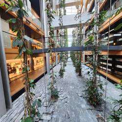 The vines and slate stones ran the entire length of the building