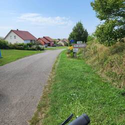 The town of Insviller