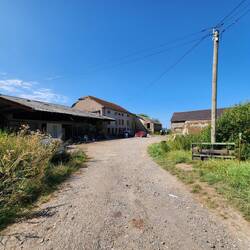 Nobody was around except 2 dogs and a cat