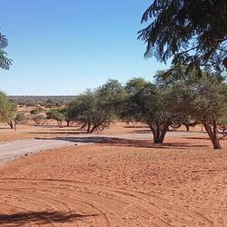 Jansen Kalahari Guest Farm