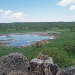 Wasserloch Halali/Etosha