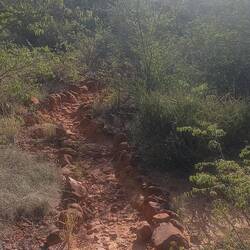 Trail auf dem Waterberg Plateau